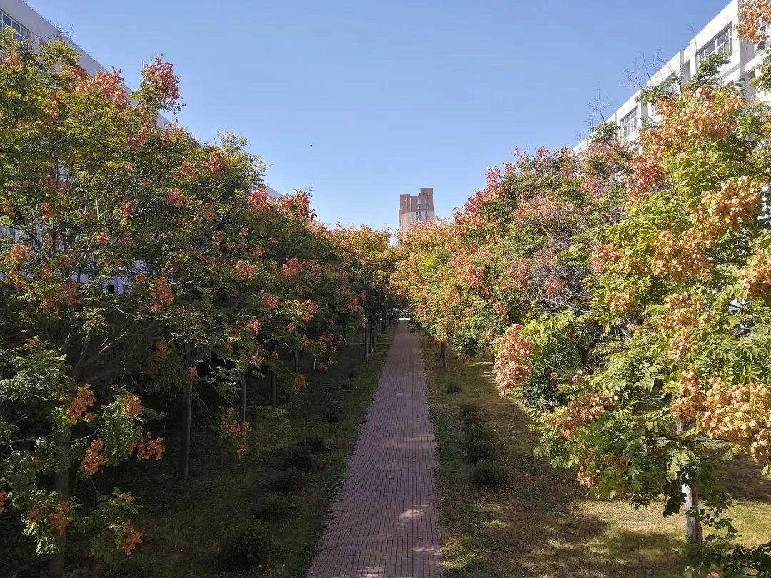 26.林间甬路 (3).jpg 图片